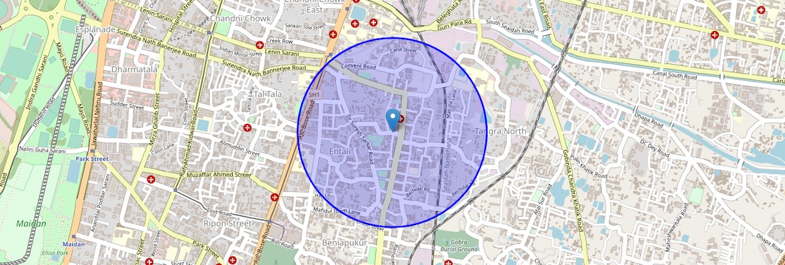 Location Map of Ananda Palit Road, Kolkata