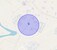 Check Time Travel of Atour, Ghaziabad