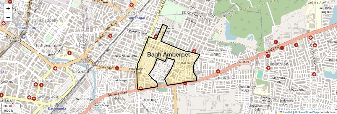 Bagh Amberpet,Hyderabad