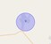 Check Time Travel of Bichoon, Jaipur