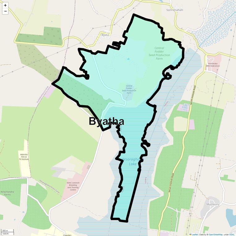 Location Map of Byatha