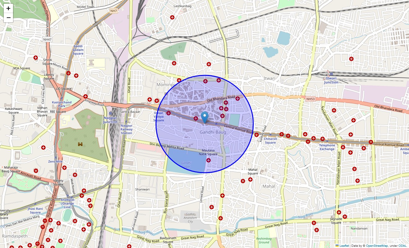 Location Map of Central Ave, Nagpur