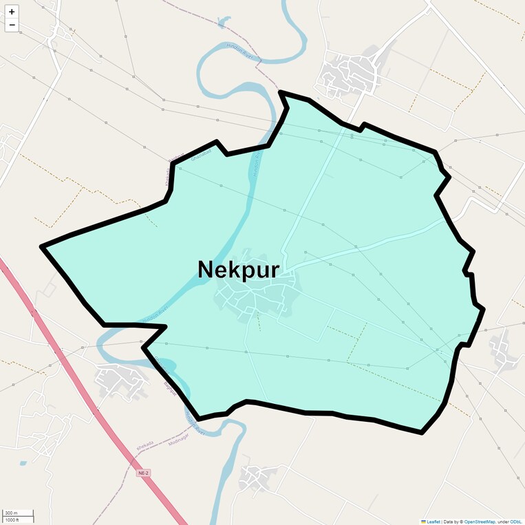 Location Map of Nekpur