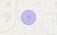 Check Time Travel of Panehra Kalan, Faridabad