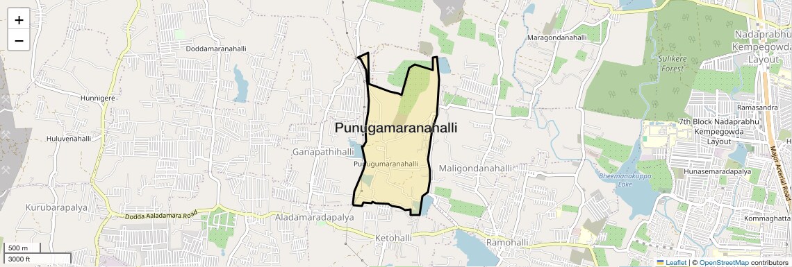 Location Map of Punugamaranahalli, Bangalore