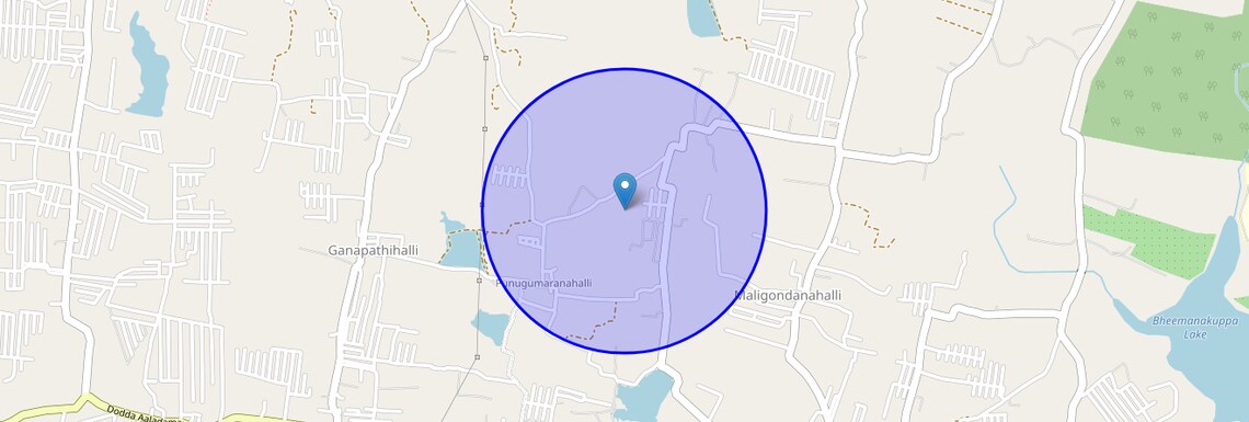 Location Map of Punugamaranahalli, Bangalore