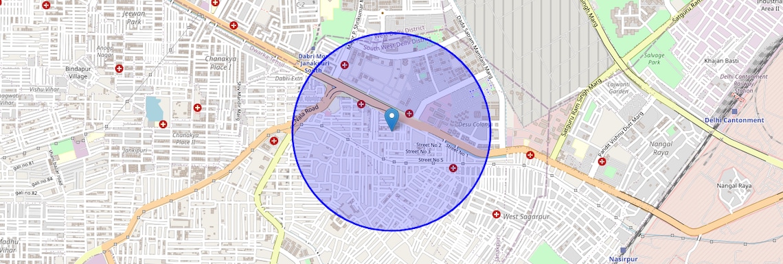 Location Map of Raghu Nagar, Delhi