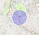 Check Time Travel of Ranikuthi, Kolkata