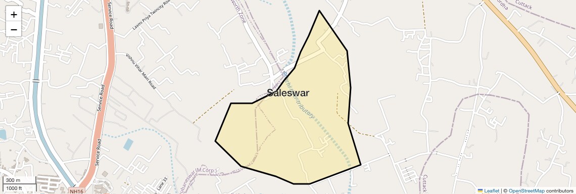 Location Map of Saleswar, Bhubaneswar