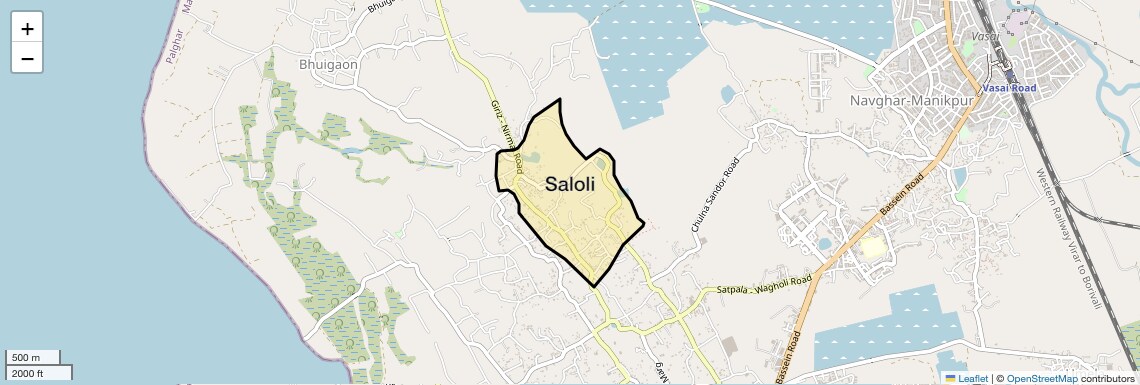 Location Map of Saloli, Palghar