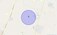 Check Time Travel of Samazpur Khalsa, Delhi