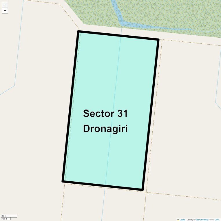 Location Map of Sector 31 Dronagiri