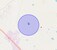 Check Time Travel of Sector 8 Wave City, Ghaziabad