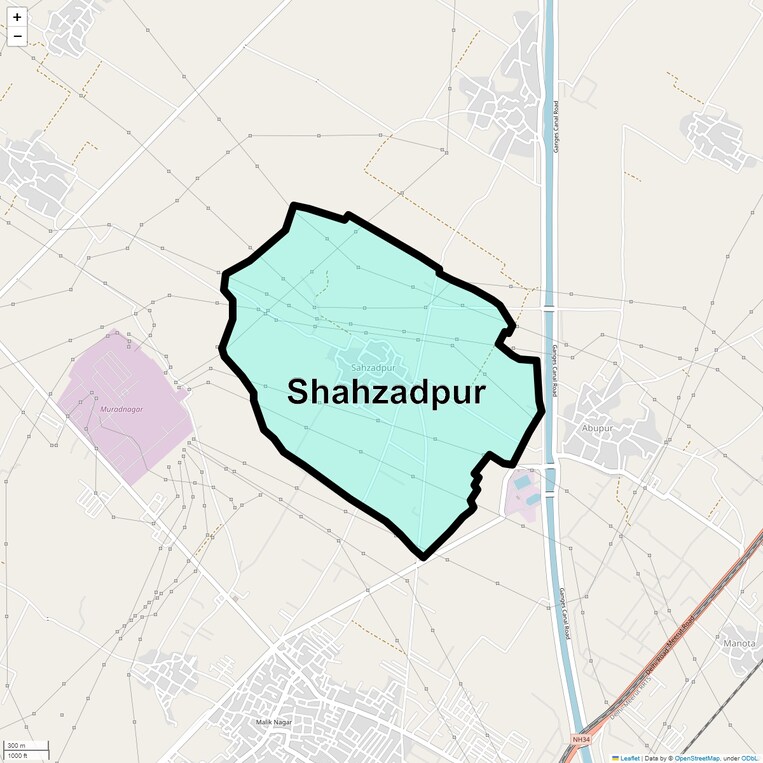 Location Map of Shahzadpur