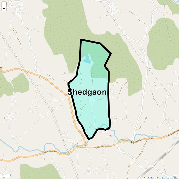 Location Map of Shedgaon