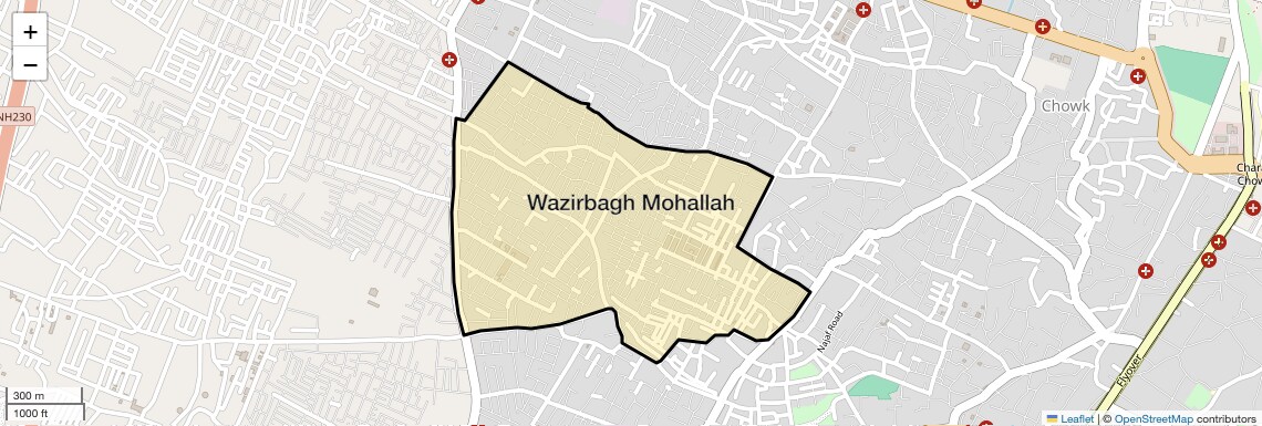 Wazirbagh Mohallah,Lucknow