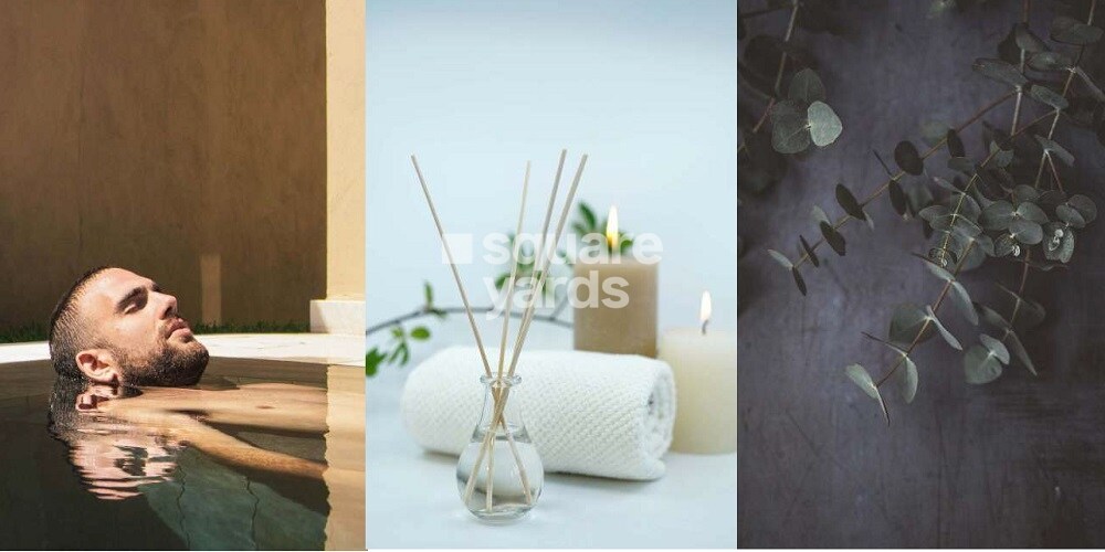 Representative image as actual visual unavailable for SAAS Reem Nine