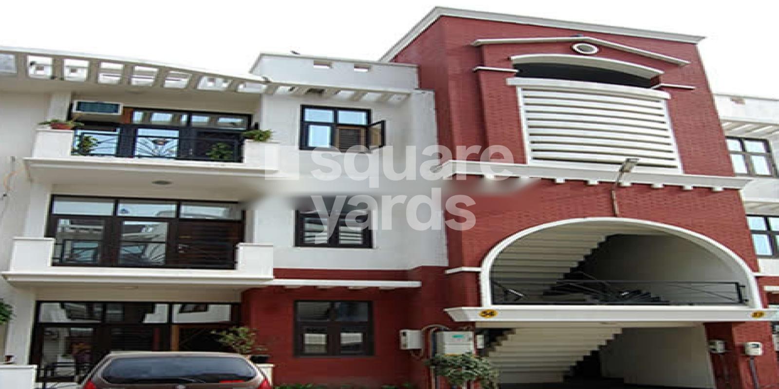 Dynamic Gulmohar Featured Image