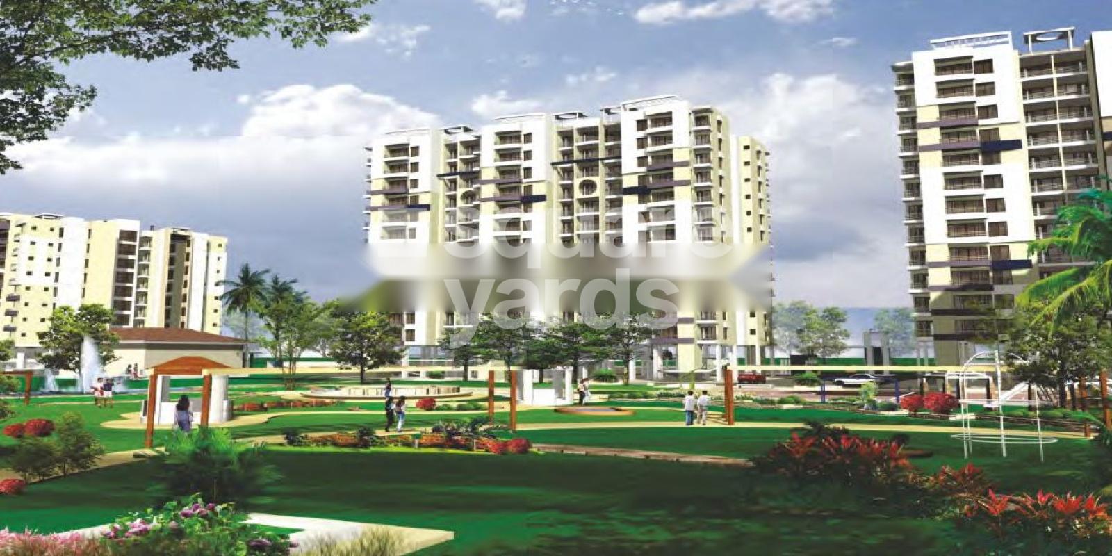 IBD The Florence Platinum