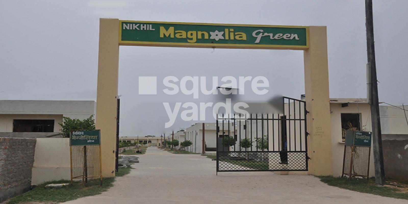 Nikhil Magnolia Green Featured Image