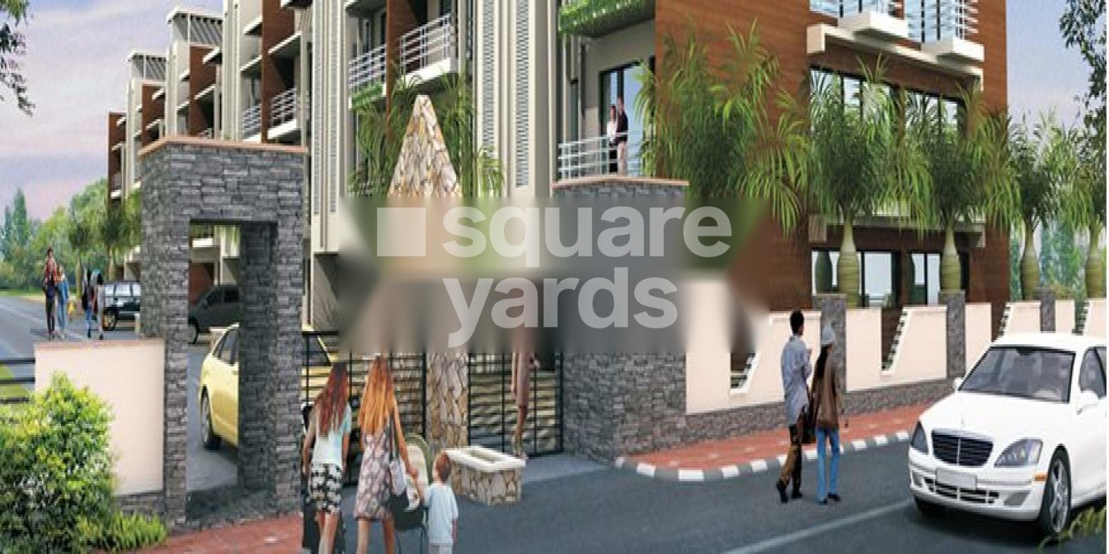 OP Green Paradise Featured Image