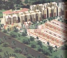 Bhawna Classic Featured Image