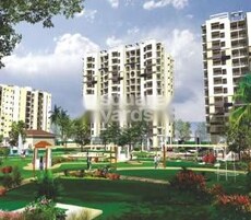 IBD The Florence Platinum Featured Image