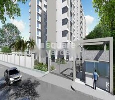 Kaveri Aryas 72 Featured Image