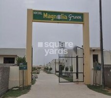 Nikhil Magnolia Green Featured Image