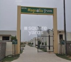 Nikhil Magnolia Green Featured Image