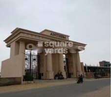 OP Chains Anthem Featured Image