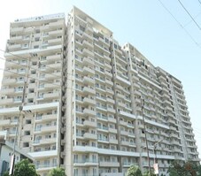 Shanker Greens Featured Image