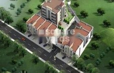 Shri Tulsi Classic Featured Image