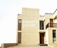 Applewood Santolina