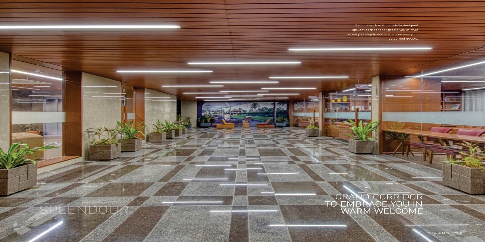 Deep Indraprasth Gulmohar