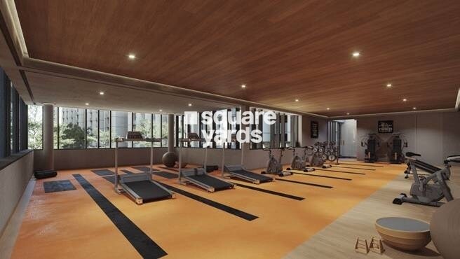 Gala Orchid Sky Gymnasium Image