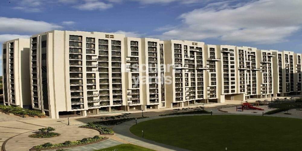 HN Safal Orchid Elegance