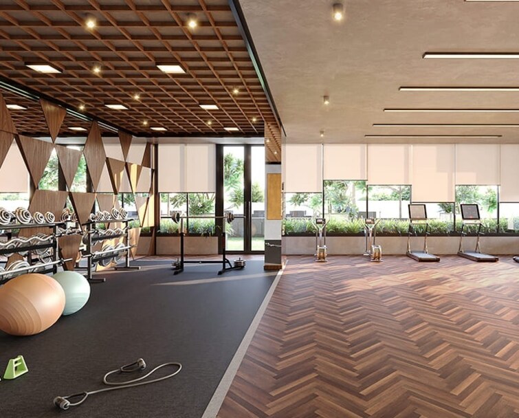 HR Eliseo Gymnasium Image