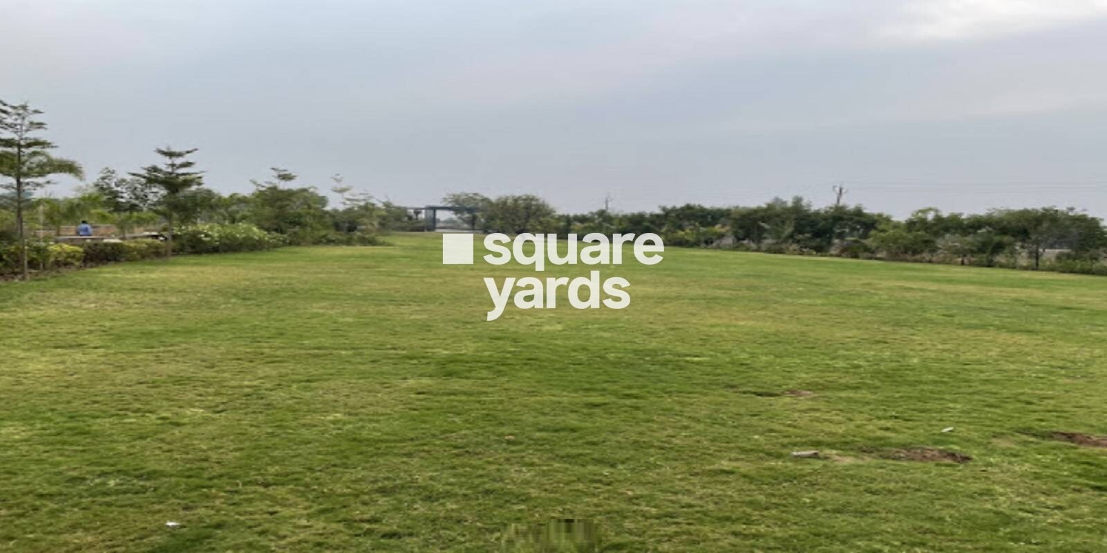 Infrataur Natures Edge Featured Image