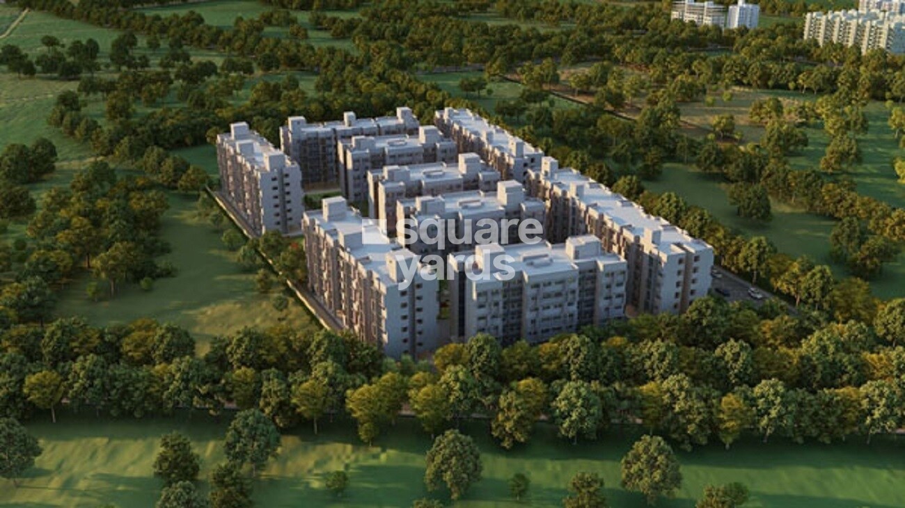 Nebula Aavas Sanand