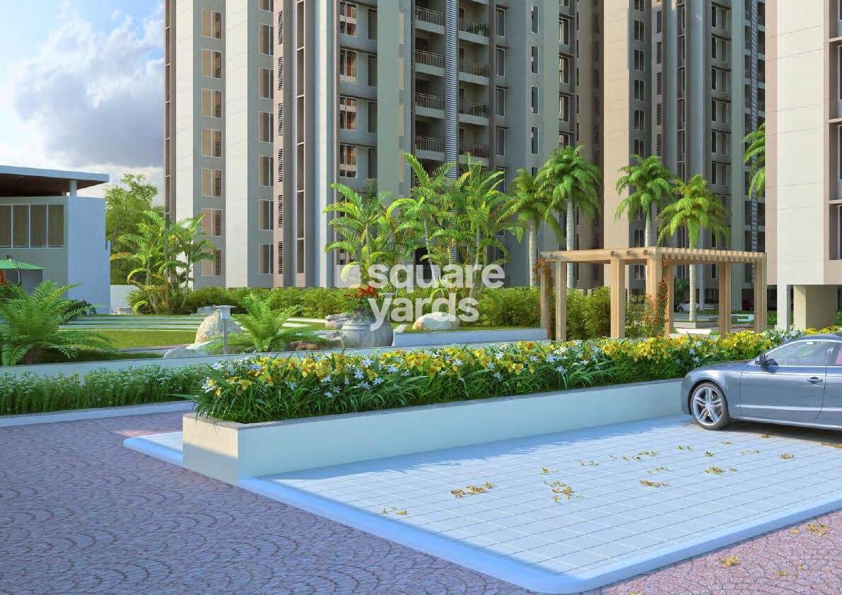 Pacifica Reflections