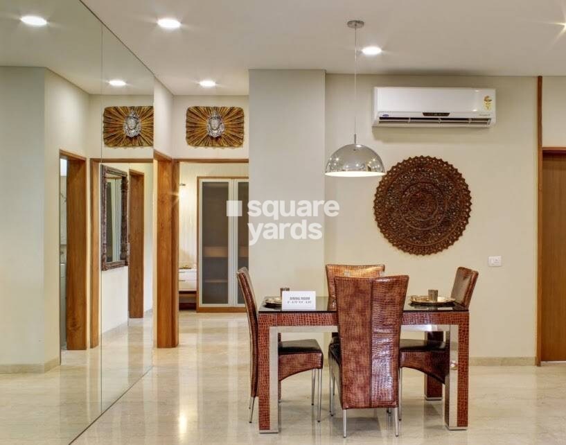 Pacifica Reflections