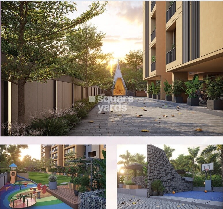 Palmsprings The Palm Paradise