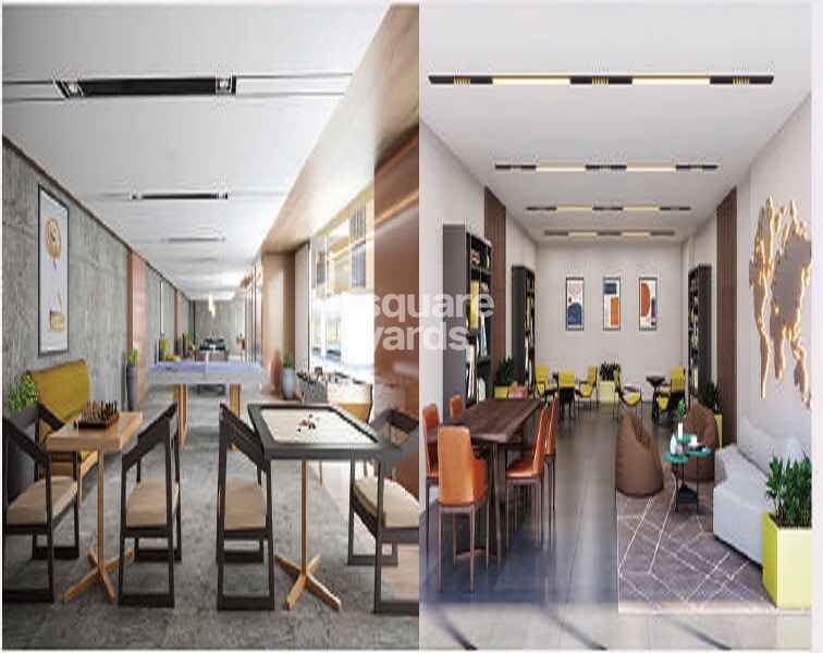 Palmsprings The Palm Paradise