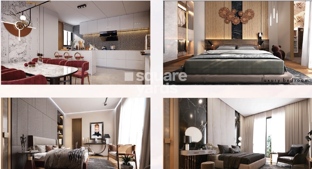 Palmsprings The Palm Paradise