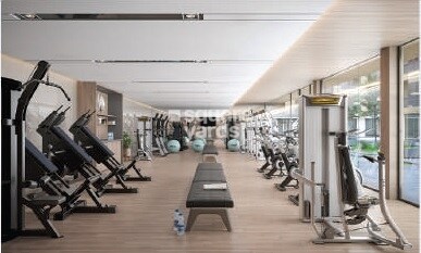 Palmsprings The Palm Paradise