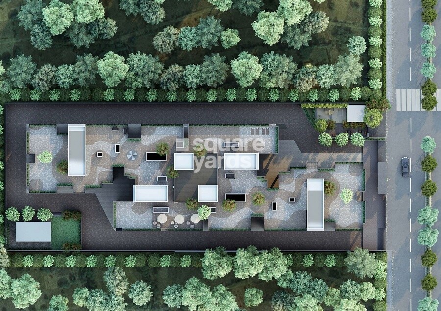 Saanvi-Nirman-Estella_an aerial view of an aerial view of a plant