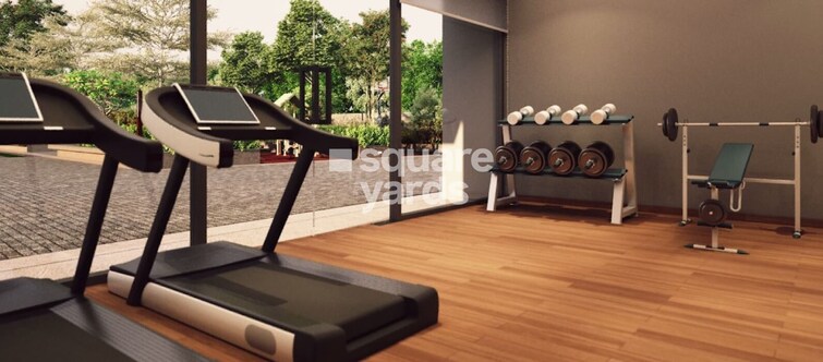 Saanvi Stella Gymnasium Image