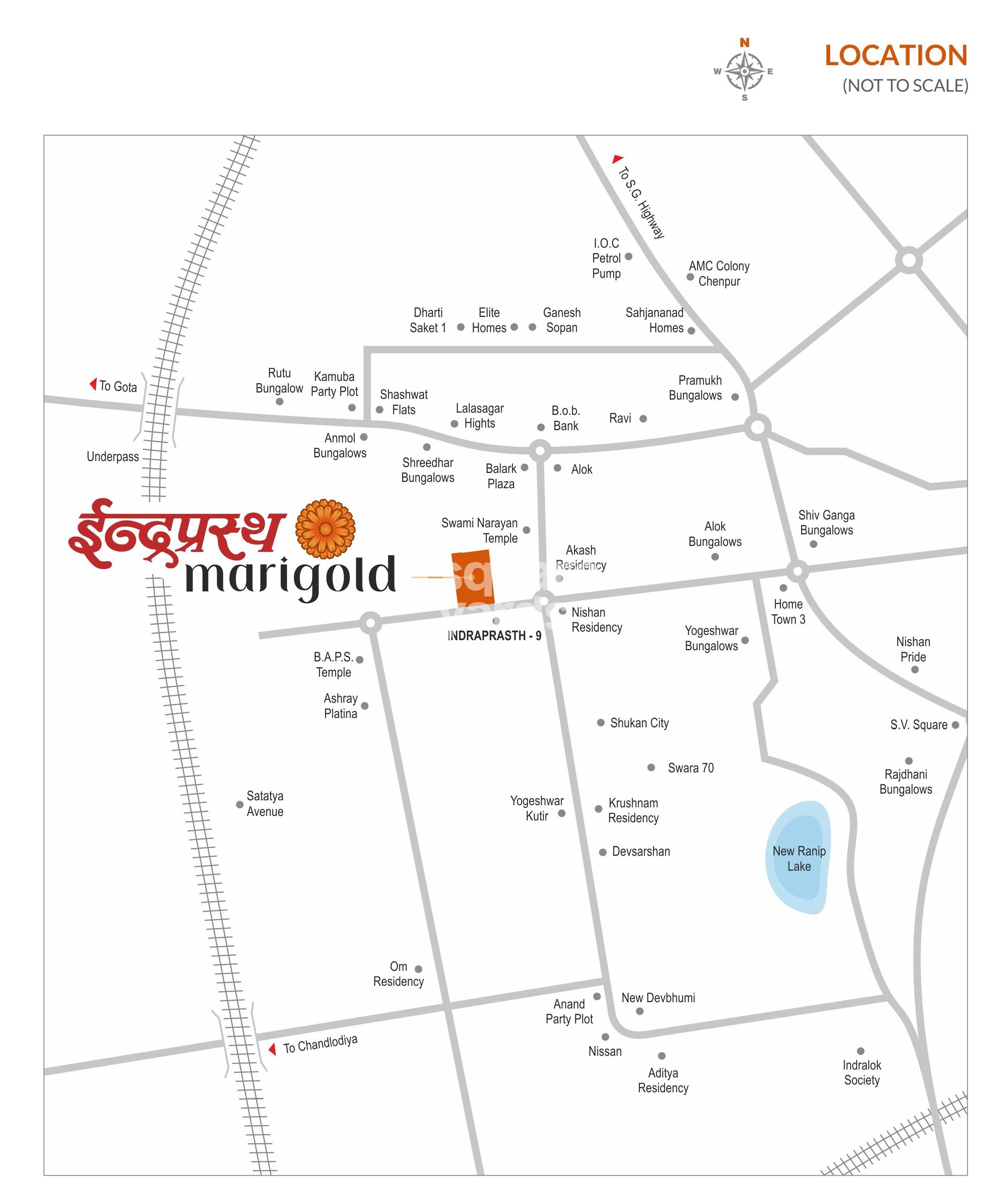 Representative image as actual visual unavailable for Setu Indraprasth Marigold