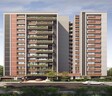 Shafalya Aurum Legacy